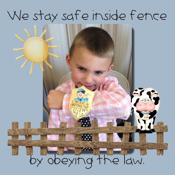 I Believe in Obeying the Law badge