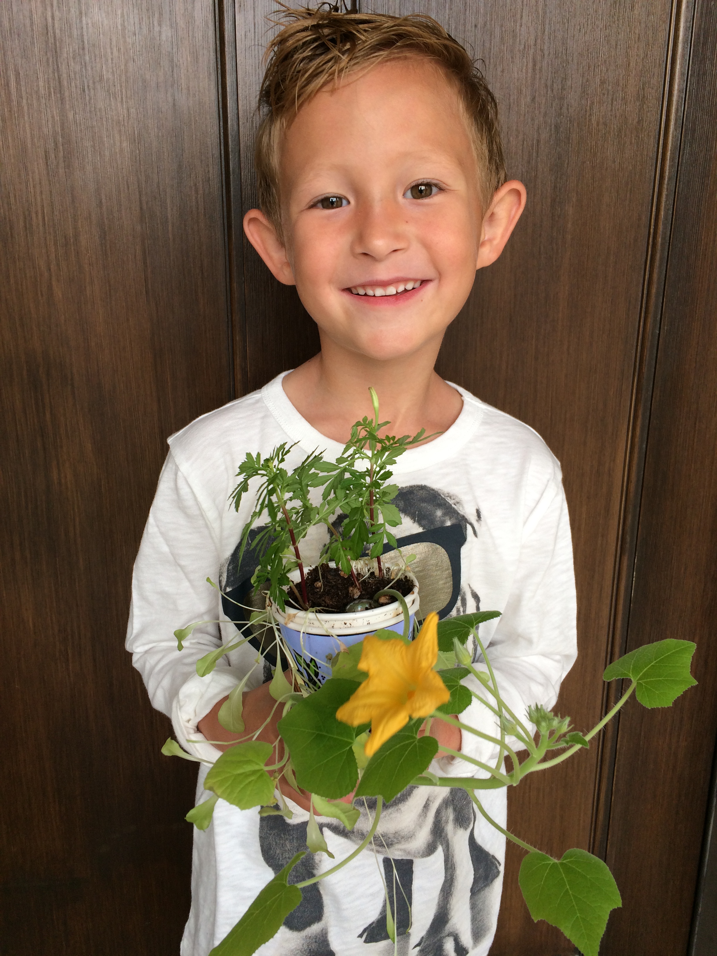 Faith in Jesus - Growing Testimony seed planter