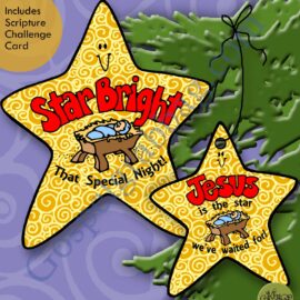 Star Bright that Special Night (testimony star and star ornament)