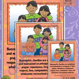 Family Success - The Family: A Proclamation to the World paragraph 7