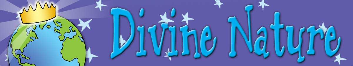 Divine Nature Banner Personal Progress for Young Women