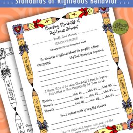 "Choosing Standards of Righteous Behavior"